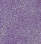 Декоративная краска КЛОНДАЙК ЛАЙТ (KLONDIKE LIGHT) 1 л Красноярске, Москве