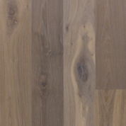 Дуб Плантагенет