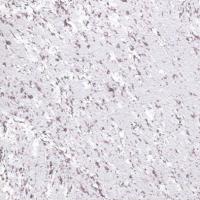 Декоративная краска Асти Небия Мраморное море