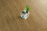 Ламинат Egger Pro Classic 12/33 RUS Дуб Азгил Медовый EPL156