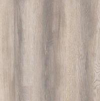 Kastamonu Sunfloor 8/33 SF 57 Вяз Квебек