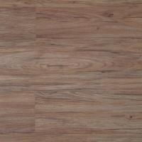 SW 1205 Орех Апулия