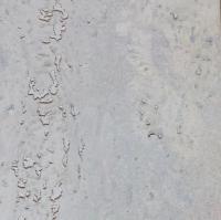 Пробковый пол на замках Fomentarino Canara grey