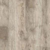 Kastamonu Sunfloor 8/33 SF 51 Ясень Вирджиния