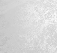 Декоративная краска Goldshell Асти НЕБИА СЕРЕБРО 2,5 л