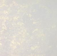 Декоративная краска Goldshell АСТИ НЕБИА Светлое золото 2,5 л